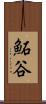 鮖谷 Scroll
