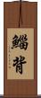 鯔背 Scroll