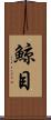 鯨目 Scroll