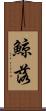 鯨落 Scroll
