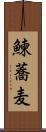 鰊蕎麦 Scroll