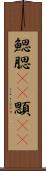 鰓 Scroll