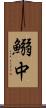 鰯中 Scroll