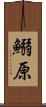 鰯原 Scroll