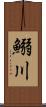 鰯川 Scroll