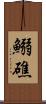 鰯礁 Scroll