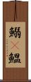 鰯(P) Scroll