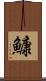 鱇 Scroll