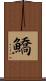 鱎 Scroll