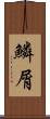 鱗屑 Scroll