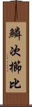 鱗次櫛比 Scroll