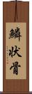 鱗状骨 Scroll