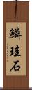 鱗珪石 Scroll