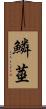 鱗莖 Scroll