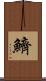 鱭 Scroll