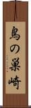 鳥の巣崎 Scroll