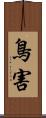 鳥害 Scroll