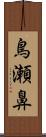 鳥瀬鼻 Scroll