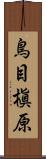 鳥目槇原 Scroll
