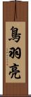 鳥羽亮 Scroll