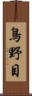 鳥野目 Scroll