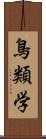 鳥類学 Scroll
