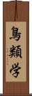 鳥類学 Scroll