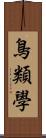 鳥類學 Scroll