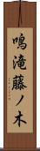 鳴滝藤ノ木 Scroll