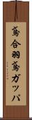 鳶合羽 Scroll