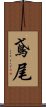 鳶尾 Scroll