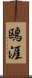 鴎涯 Scroll