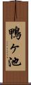 鴨ヶ池 Scroll