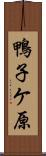 鴨子ケ原 Scroll