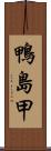 鴨島甲 Scroll