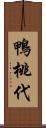 鴨桃代 Scroll