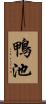 鴨池 Scroll