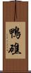 鴨礁 Scroll