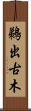 鵜出古木 Scroll
