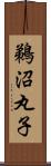 鵜沼丸子 Scroll