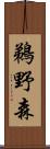 鵜野森 Scroll