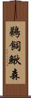 鵜飼鰍森 Scroll
