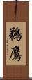 鵜鷹 Scroll