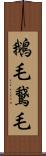 鵝毛 Scroll