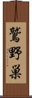 鷲野巣 Scroll