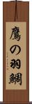 鷹の羽鯛 Scroll