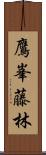 鷹峯藤林 Scroll
