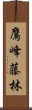 鷹峰藤林 Scroll