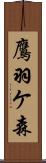 鷹羽ケ森 Scroll