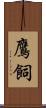 鷹飼 Scroll